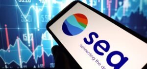 Read more about the article Sea Limited Reported Q3 2024 Net Income of $153.3M with Revenue Increasing by 30.8% YoY to $1.13B